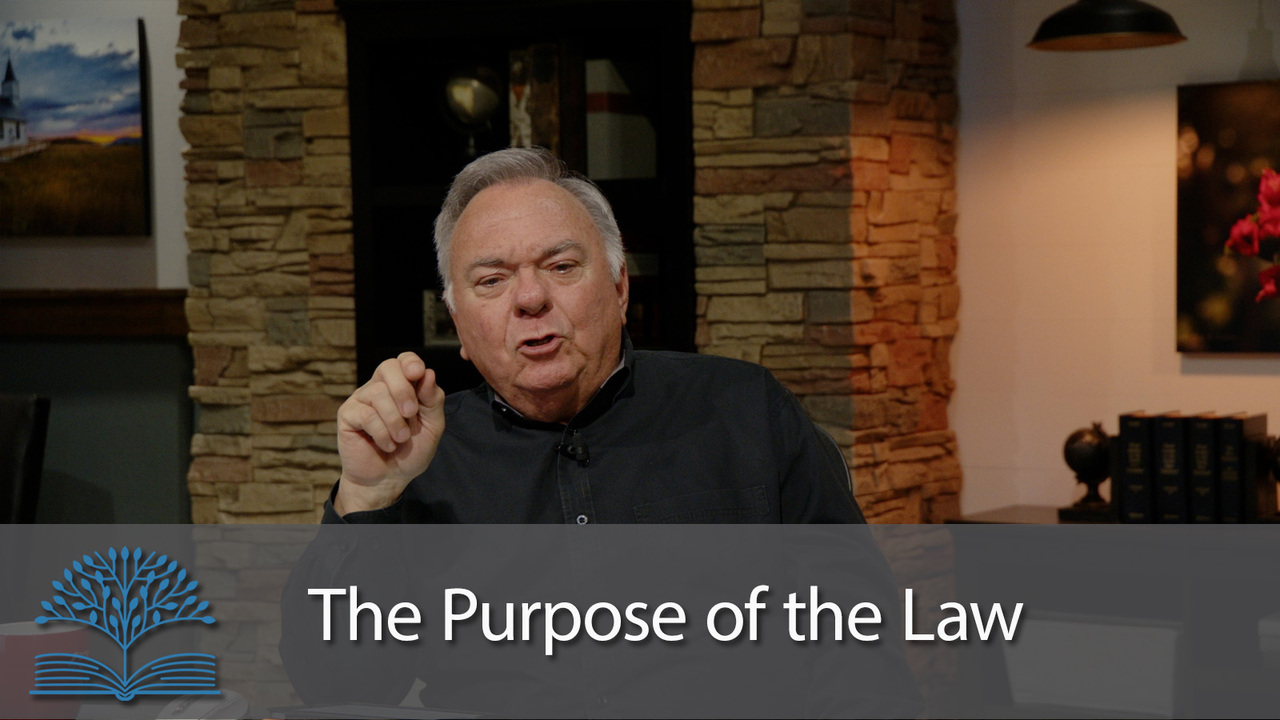 The Purpose of the Law