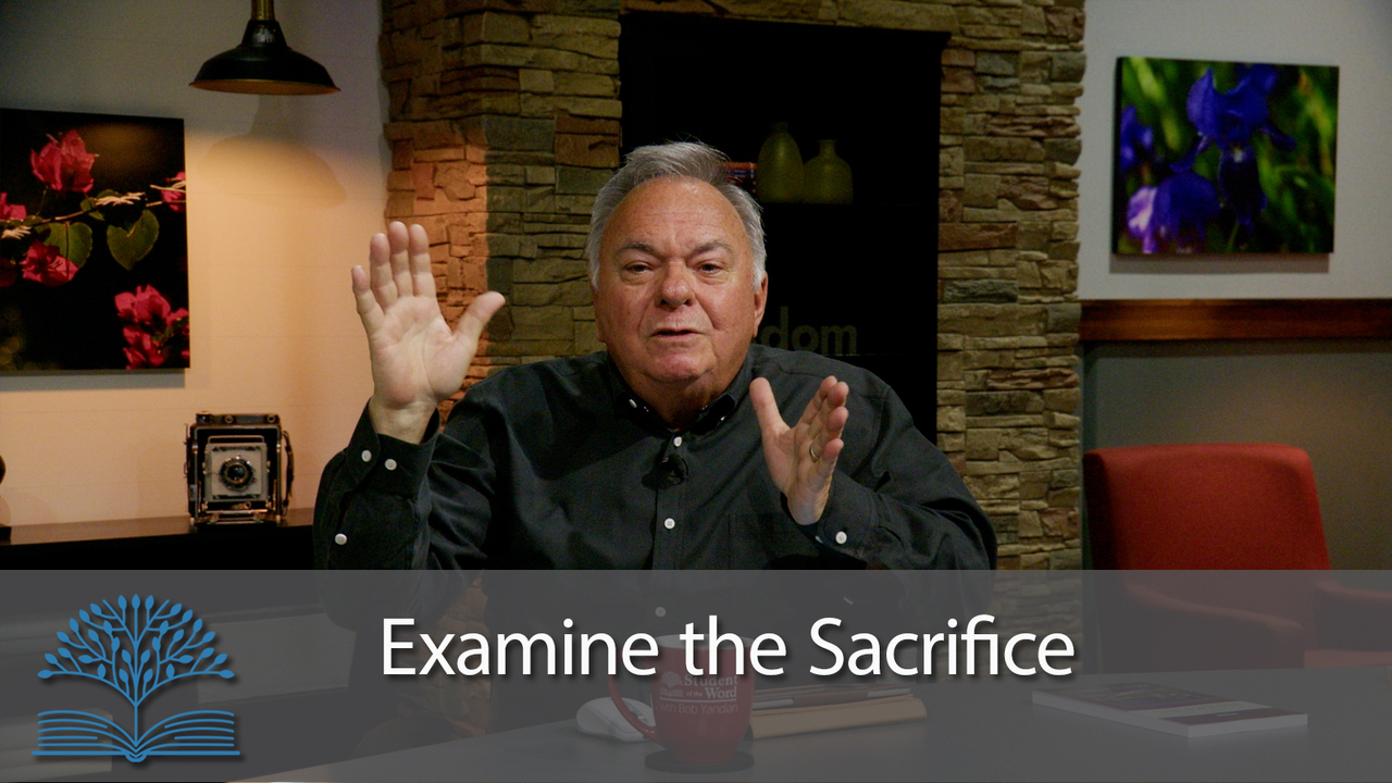Examine the Sacrifice