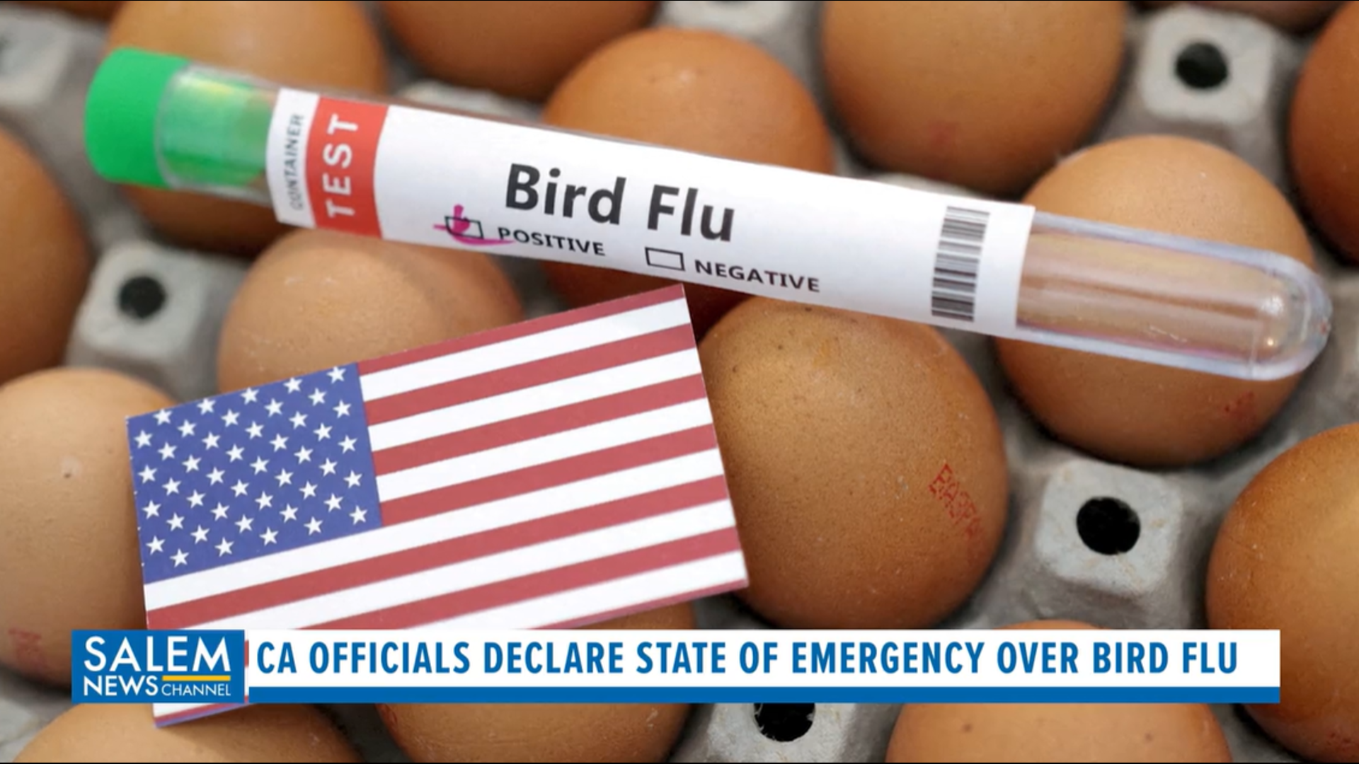 California declares state of emergency over bird flu