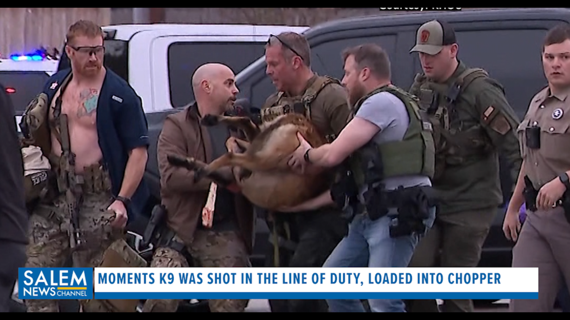K9 Rocky dramatically rescued by officers after being shot